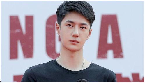 吃瓜娱乐圈王一博,娱乐圈的瓜中明星,魅力与实力并存